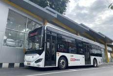 Harga Bus Listrik Masih Mahal, MTI Dorong Pemerintah Geser Fokus Insentif