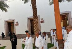 Pergeseran Jemaah Haji dari Madinah Tinggal 2 Hari Lagi, 241 Kloter Sudah Lewat Bir Ali