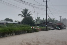 Banjir 80 Cm Rendam Kabupaten Mamuju, 717 Rumah Terdampak