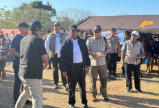Kepala Bapanas dan Dirut BULOG Tinjau Langsung Penyaluran Bantuan Korban Gempa Flores
