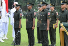 Penerimaan Bintara PK TNI AD Reguler dan Khusus 2024, Cek Syarat dan Jadwalnya