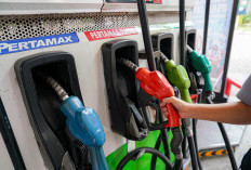 Daftar Harga BBM Pertamina per 1 Maret 2026, Pertamax Naik Jelang Lebaran diJa Rp12.300