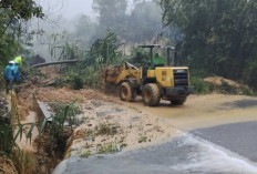 19 Ribu Mahasiswa Terancam Putus Kuliah akibat Banjir Sumatra, Pemerintah Gelontorkan Rp124 Miliar