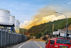 Fakta 'Mengerikan' Kebocoran Gas Asam Nitrat di PT Vopak Indonesia: Anak dan Lansia Hati-hati!