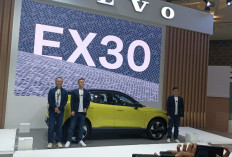 SUV Listrik Volvo EX30 Mendarat di GIIAS 2024, Harga Mulai Rp 890 Jutaan