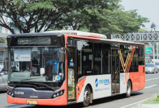 Catat! Transjakarta Lakukan Penyesuaian Rute Sekitar Halte Kayu Jati Imbas Proyek LRT Mulai 7-26 Agustus 2024