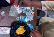 Polisi Bongkar Penjualan Obat Terlarang Berkedok Toko Ikan Hias
