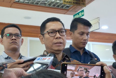 Adies Kadir Bantah Isu Jokowi Ingin Rebut Ketum Golkar Lewas Munaslub