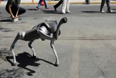 Canggih! Robot Anjing Siap Amankan Piala Dunia 2026 di Meksiko, Harganya Bikin Melongo