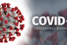 Virus COVID-19 Muncul Lagi di Luar Negeri, Masyarakat Indonesia Diminta Waspada