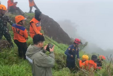 Titik Jatuhnya Pesawat ATR Milik IAT Terdeteksi, Basarnas Siapkan Langkah Evakuasi