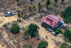 Tahura Bukit Soeharto Ditertibkan, Otorita IKN Lindungi Hutan Konservasi dari Perambahan dan Karhutla!