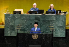 Menlu Sugiono: Indonesia Terus Dukung Palestina hingga Negara Merdeka Terwujud