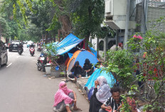 Petugas Bongkar Tenda Pengungsi, Camat Setiabudi Pastikan Keamanan Lingkungan
