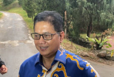 PAN Sebut Keputusan Airlangga Mundur dari Golkar Tidak Berpengaruh di KIM