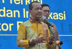 Pemerintah Jaga Keseimbangan Pasokan Nikel untuk Stabilkan Harga Komoditas