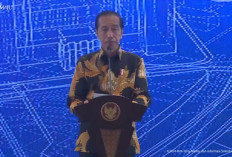 Gelar Ratas, Jokowi Bahas Persiapan Indonesia Jadi Anggota OECD