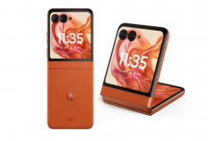 7 HP MediaTek Dimensity 7400 4nm yang Jadi Opsi Terbaik September 2026, Cek Spesifikasi dan Harganya
