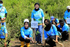 BTN dan Yayasan KEHATI Tanam 7.500 Mangrove di 3 Wilayah Pesisir Indonesia