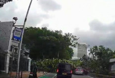 Imbas Pohon Tumbang di Bundaran Senayan, Begini Situasi Terkini