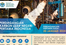 Pemerintah Mulai Perdagangkan Karbon Secara Global untuk Cegah Perubahan Iklim, Caranya?