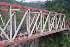 Mudik Lebaran 2026: Menteri PU Cek Jembatan Besuk Kobokan, Pastikan Jalur Lumajang–Malang Aman
