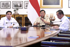 BNPB: 209 Hektare Lahan Gambut di 6 Provinsi Masih Terbakar, Operasi Pemadaman Karhutla Diperkuat