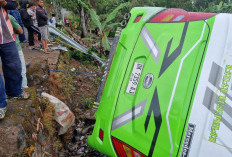 Diduga Rem Blong, Bus Rombongan Keluarga dari Rawa Belong Masuk Jurang di Jalan Alternatif  Puncak Bogor