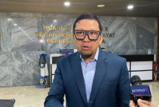 Doli Kurnia Balas Hasyim Asy'ari: Dia Lupa Sudah 2 Kali Dia Dipecat dari KPU karena Munafik