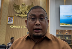 Andre Rosiade Soroti Pemblokiran Rekening Botok: Tak Mungkin Dilakukan Sepihak