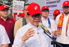 Pramono Minta Pagar Tinggi di Mal Kokas Dibongkar, Pastikan Jakarta Tetap Aman