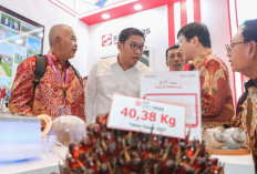 Indonesia Siap Jadi Penentu Harga Sawit Dunia, Wamentan Sudaryono: B50 Jadi Alat Bargaining Kita