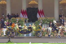 Mengenal Celina Olivia, Sosok Pembawa Baki Paskibraka 2026 di HUT ke-81 RI di Istana