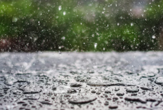 BMKG: Daftar Wilayah Berpotensi Hujan Lebat hingga Angin Kencang di Indonesia Hari Ini 12 Januari 2026, Warga Diimbau Waspada 