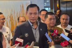 AHY Ungkap Keunggulan Pesawat N219, Lincah di Medan Sulit seperti Papua dan Hutan Kalimantan
