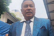 Hotman Paris Mundur Jadi Pengacara Febrie Adriansyah, Ngaku Berobat ke Singapura Gegara Sakit Pinggang