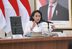 215.603 Lowongan Kerja Luar Negeri Belum Terserap, Wamen Christina Dorong SMK Go Global