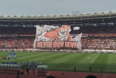 Persija vs Java United Tanpa Penonton, Shin Tae-yong Kecewa: Laga Kandang Rasa Netral