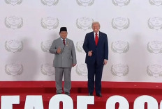 Masuk Board of Peace, Indonesia Tegaskan Tetap Dukung Solusi Dua Negara