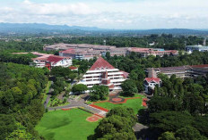 IPB University Skors 16 Mahasiswa Kasus Pelecehan Seksual di Grup Chat Selama 1 Semester