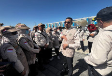 15 Kloter Haji Dijadwalkan Tiba Perdana di Madinah Hari Ini