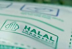 MUI Kritik Keras Kebijakan Produk AS Bebas Masuk RI Tanpa Sertifikasi Halal