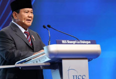 Prabowo Subianto Ajukan Proposal Perdamaian, Ditolak Ukraina