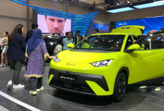 Murahnya Biaya Kepemilikan BYD ATTO 1, Iritnya Hingga 300 Persen Lebih dari Mobil Berbahan Bakar Bensin