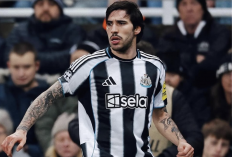 Sandro Tonali Berpotensi Tinggalkan Newcastle, Liverpool Bisa Jadi Kunci Transfer Sensasional