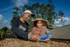 Dorong Perputaran Ekonomi Grassroot, BRI Salurkan Kredit di Segmen Mikro Sebesar Rp632,22 Triliun