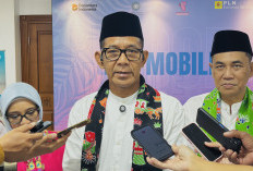 Harga BBM Melambung, PLN Catat Transaksi Mobil Listrik di Jakarta Naik 6 Kali Lipat