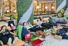 Dukung Jakarta Festive Wonders, APPBI Kumpulkan 2.100 Kantong Darah dari 30 Pusat Perbelanjaan