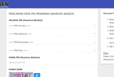 Cara Cek DTSEN Pakai NIK KTP untuk Pastikan Penerima Terdaftar Bansos 2025