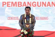 Ini Sosok yang Bikin Luhut Mau Jadi Ketua Dewan Ekonomi Nasional